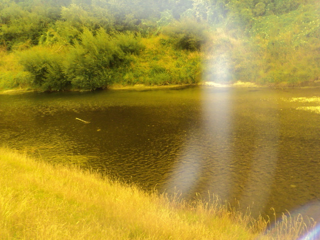 Name:  picture 7718.jpg
Views: 183
Size:  163.6 KB