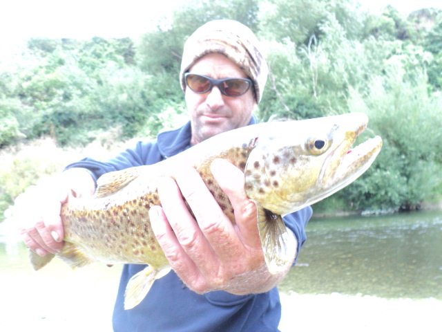 Name:  picture 7721.jpg
Views: 193
Size:  164.6 KB