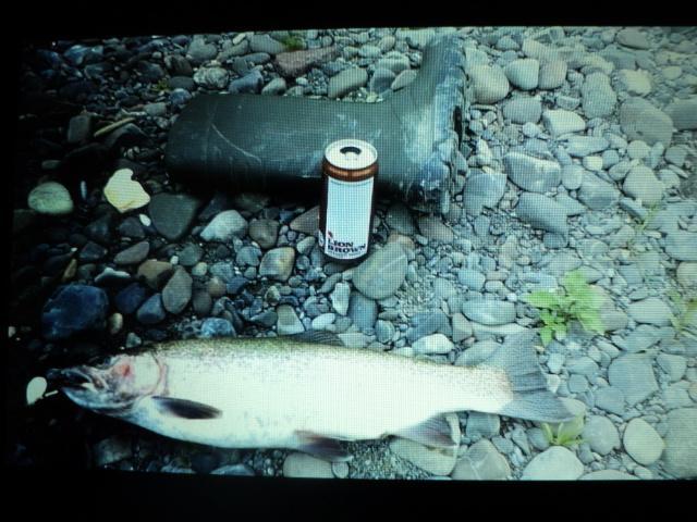 Name:  picture 7729.jpg
Views: 261
Size:  164.3 KB