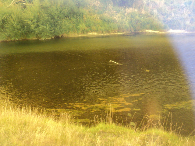 Name:  picture 7733.jpg
Views: 157
Size:  163.3 KB
