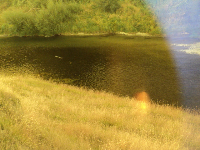 Name:  picture 7735.jpg
Views: 172
Size:  162.5 KB