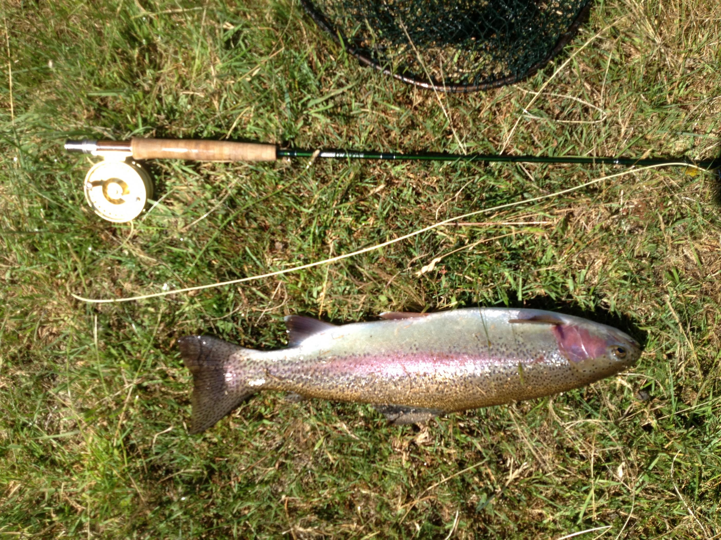 Name:  fly fishing, Ongarur river 015.jpg
Views: 261
Size:  1.02 MB