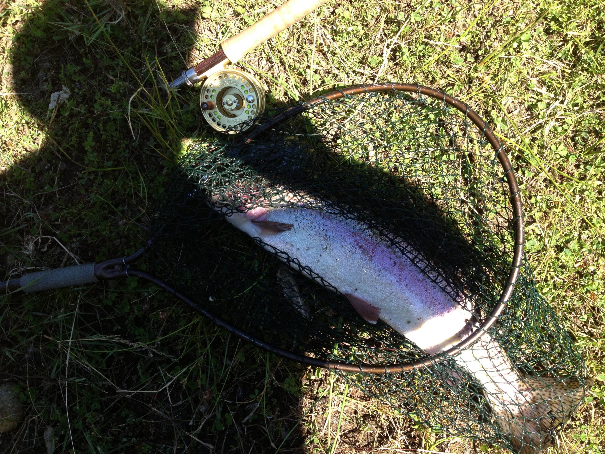 Name:  fly fishing, Ongarur river 011.jpg
Views: 205
Size:  1.07 MB