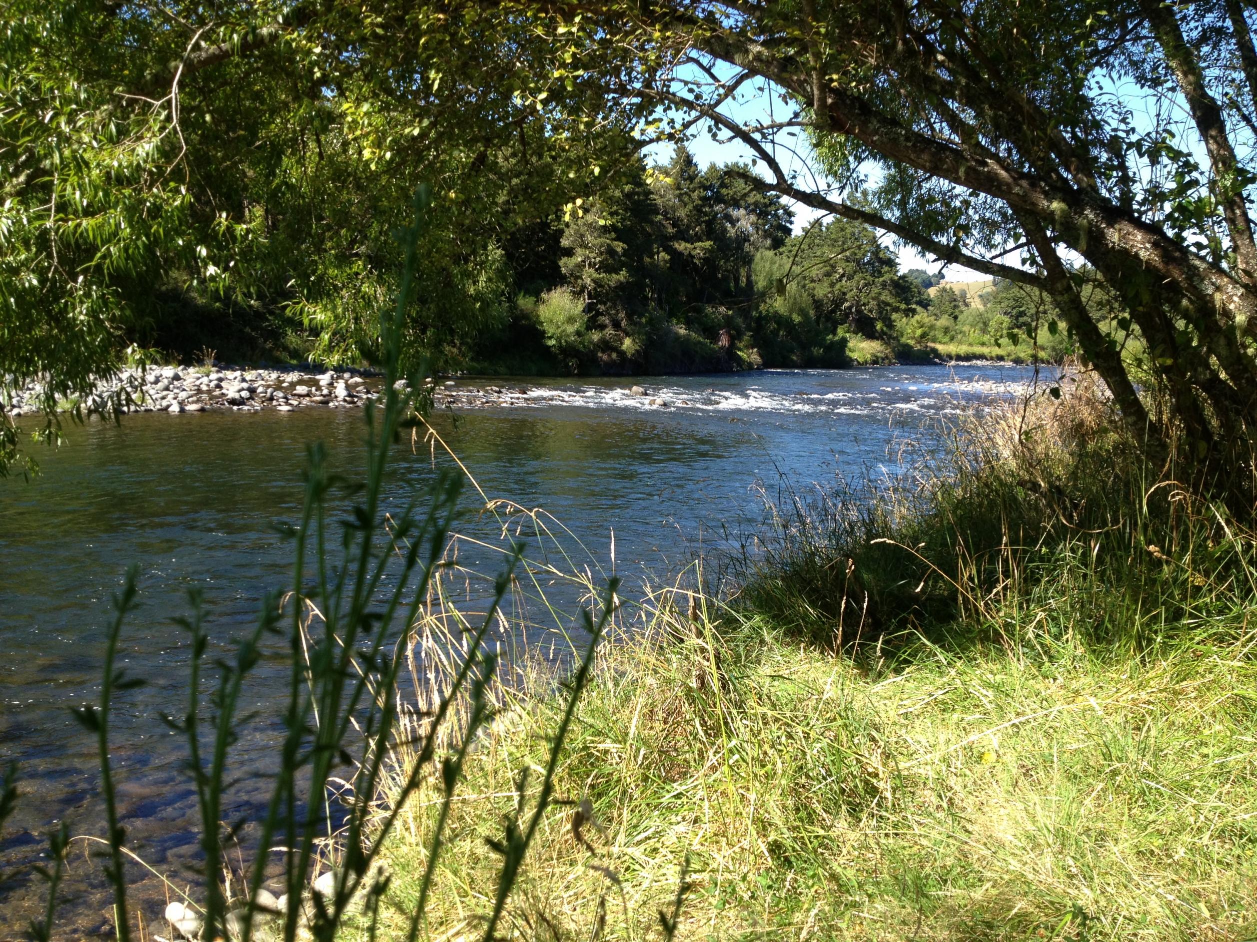 Name:  fly fishing, Ongarur river 003.jpg
Views: 267
Size:  1.08 MB