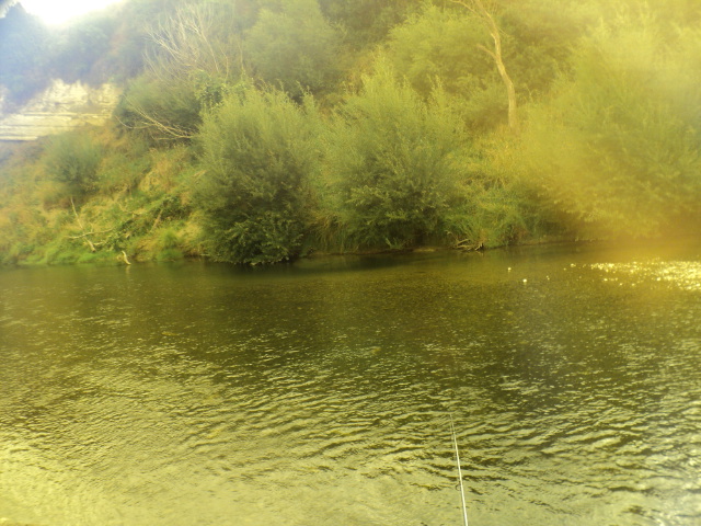 Name:  picture 7759.jpg
Views: 201
Size:  164.7 KB