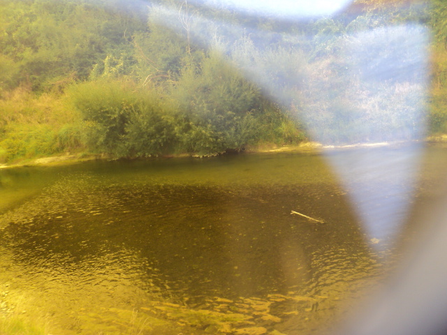 Name:  picture 7767.jpg
Views: 208
Size:  162.9 KB