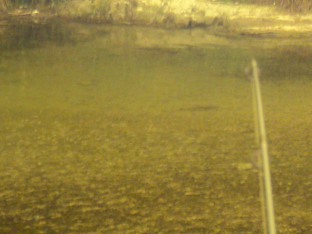 Name:  picture 7768.jpg
Views: 204
Size:  164.5 KB