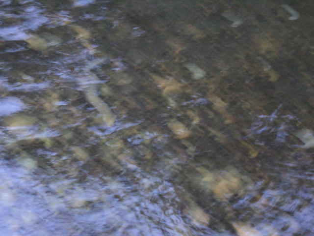 Name:  picture 7770.jpg
Views: 210
Size:  164.5 KB