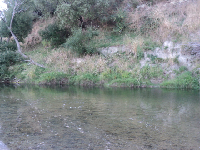 Name:  picture 7820.jpg
Views: 194
Size:  163.9 KB