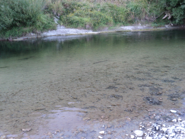 Name:  picture 7832.jpg
Views: 176
Size:  162.8 KB