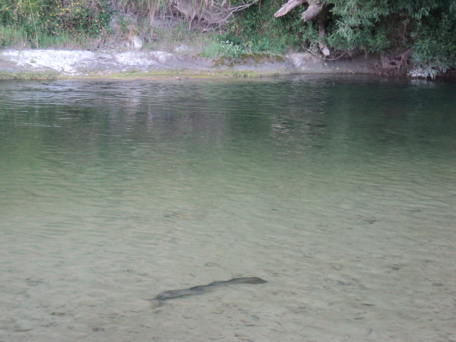 Name:  picture 7835.jpg
Views: 191
Size:  165.1 KB