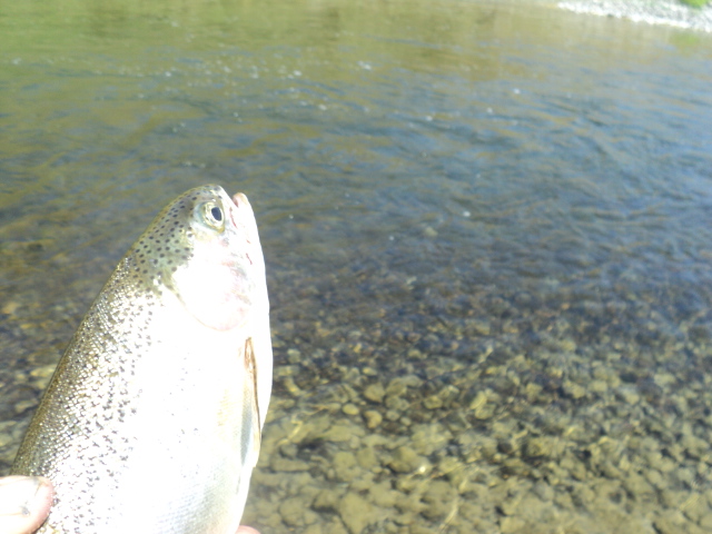 Name:  picture 7855.jpg
Views: 199
Size:  164.7 KB