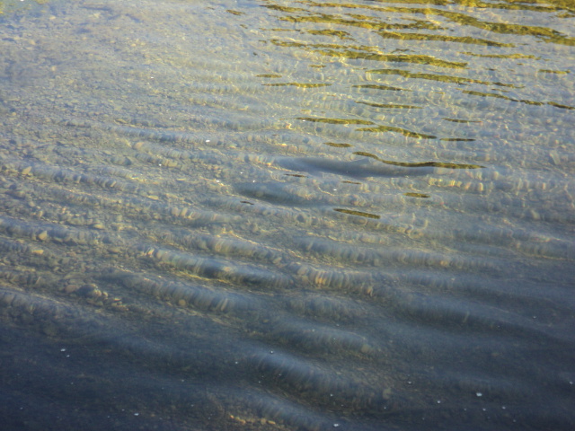 Name:  picture 7857.jpg
Views: 160
Size:  163.5 KB
