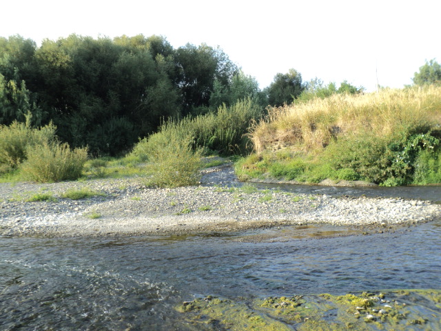 Name:  picture 7865.jpg
Views: 256
Size:  162.7 KB