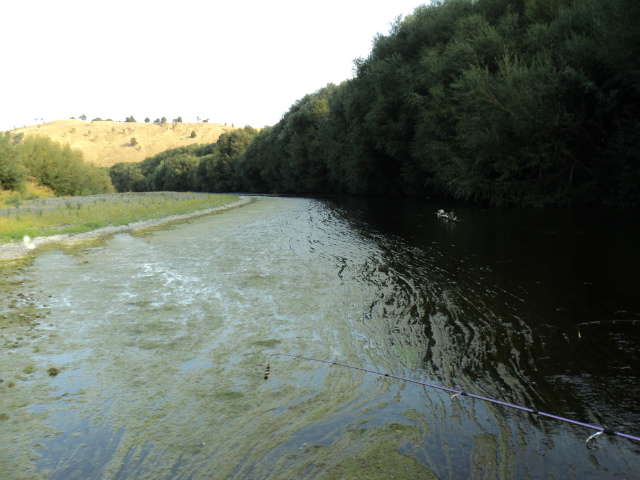 Name:  picture 7866.jpg
Views: 220
Size:  164.8 KB