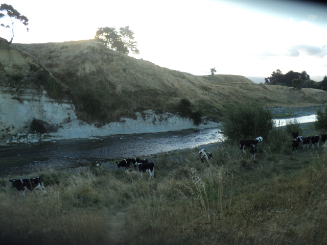 Name:  picture 7927.jpg
Views: 263
Size:  163.1 KB