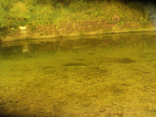 Name:  picture 7925.jpg
Views: 280
Size:  162.9 KB