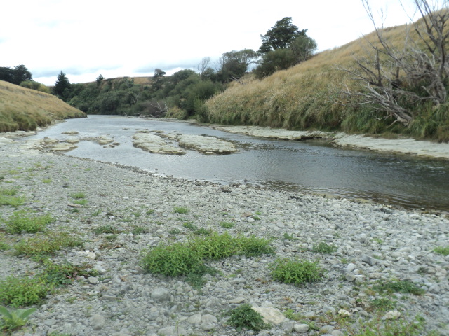 Name:  picture 7935.jpg
Views: 235
Size:  164.4 KB