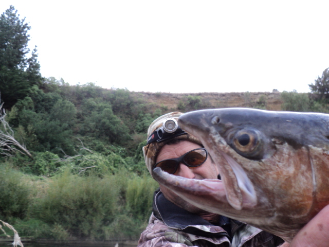Name:  picture 8068.jpg
Views: 235
Size:  165.2 KB
