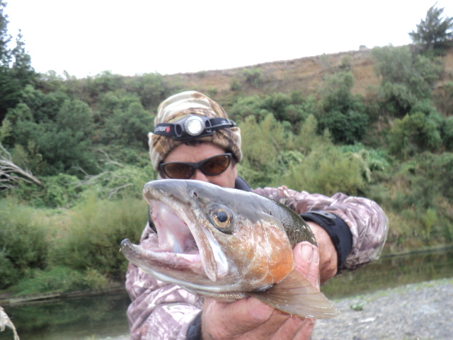Name:  picture 8069.jpg
Views: 226
Size:  161.7 KB