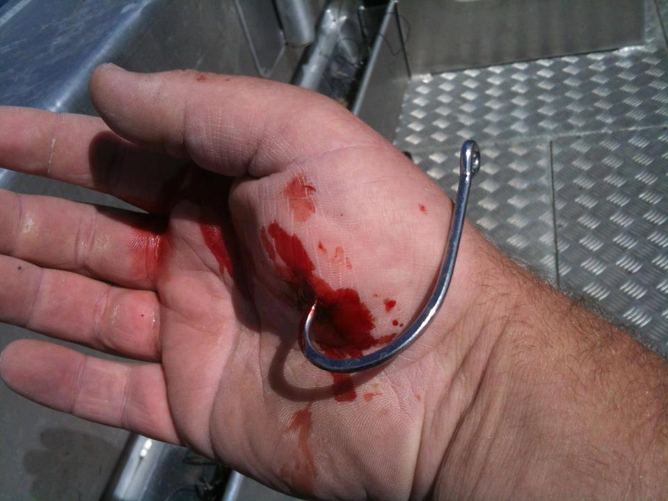 Name:  image0111111.jpg
Views: 1384
Size:  75.5 KB