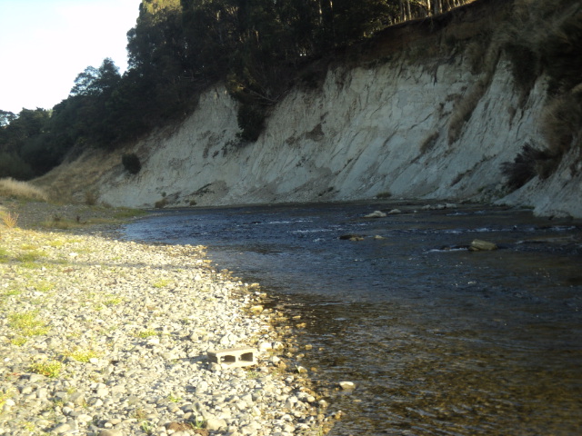 Name:  picture 8010.jpg
Views: 790
Size:  164.4 KB