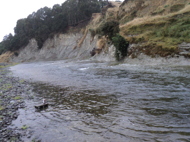 Name:  picture 8106.jpg
Views: 792
Size:  164.5 KB