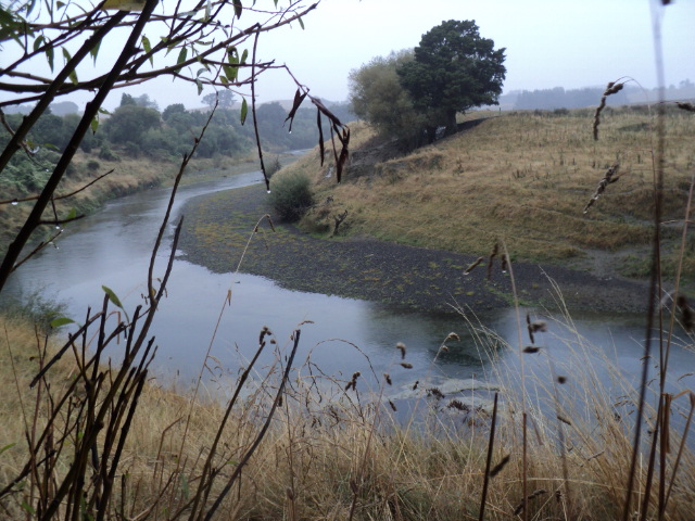 Name:  picture 8101.jpg
Views: 743
Size:  164.9 KB