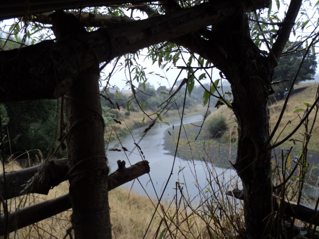 Name:  picture 8102.jpg
Views: 681
Size:  163.8 KB