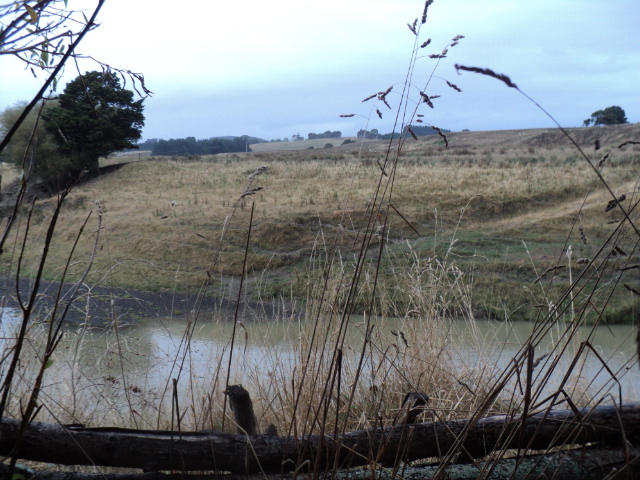 Name:  picture 8113.jpg
Views: 675
Size:  163.5 KB