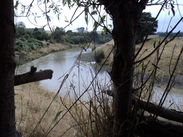 Name:  picture 8114.jpg
Views: 640
Size:  165.0 KB