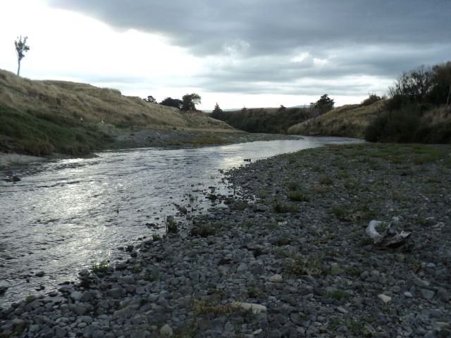 Name:  picture 8141.jpg
Views: 360
Size:  162.9 KB