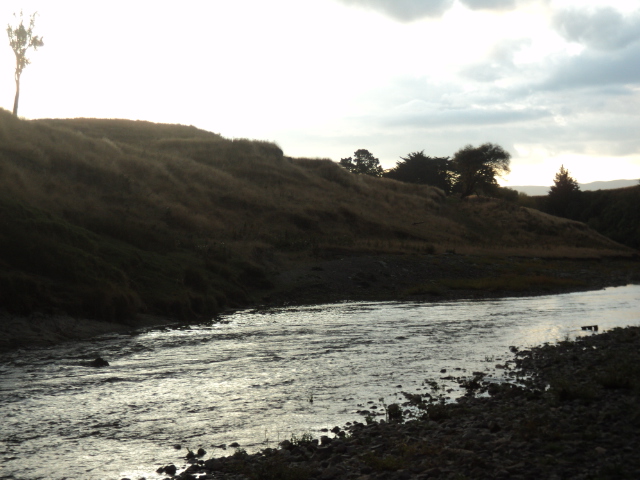 Name:  picture 8145.jpg
Views: 887
Size:  164.5 KB
