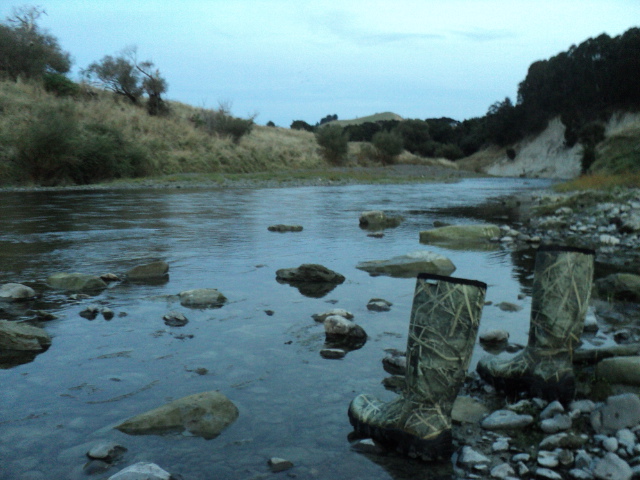 Name:  picture 8161.jpg
Views: 337
Size:  164.6 KB
