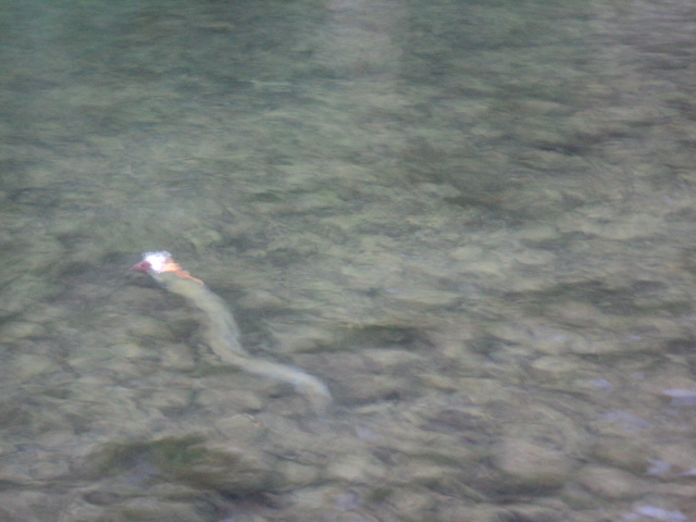 Name:  picture 8159.jpg
Views: 192
Size:  161.1 KB