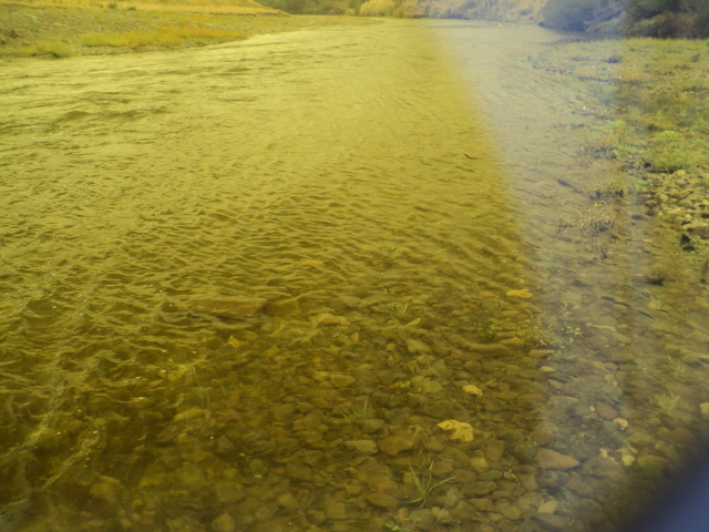 Name:  picture 8192.jpg
Views: 378
Size:  164.1 KB