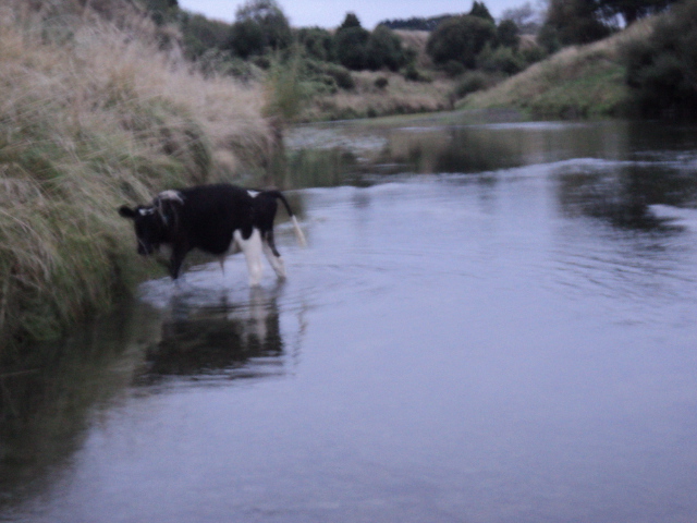 Name:  picture 8220.jpg
Views: 333
Size:  164.4 KB