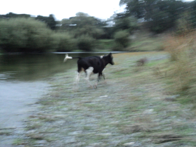 Name:  picture 8221.jpg
Views: 250
Size:  161.8 KB