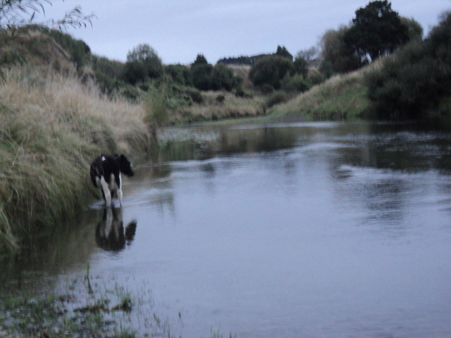 Name:  picture 8219.jpg
Views: 341
Size:  161.1 KB