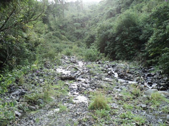 Name:  picture 8236.jpg
Views: 367
Size:  165.3 KB