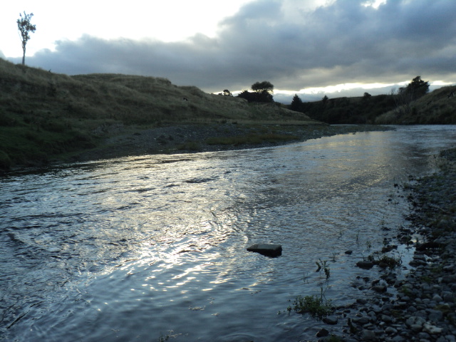 Name:  picture 8237.jpg
Views: 299
Size:  164.6 KB