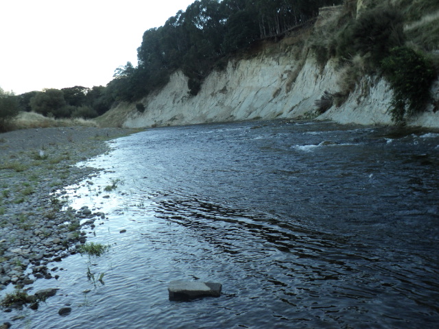 Name:  picture 8238.jpg
Views: 294
Size:  164.6 KB