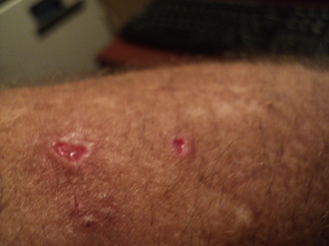 Name:  picture 8239.jpg
Views: 338
Size:  160.5 KB