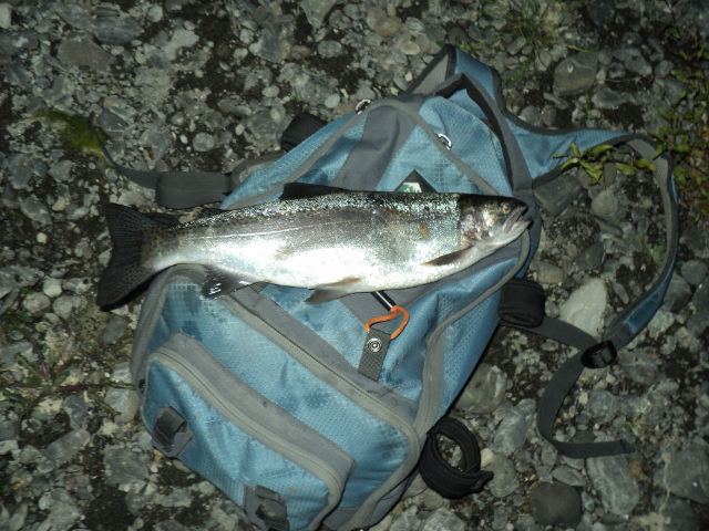 Name:  picture 8264.jpg
Views: 278
Size:  162.5 KB