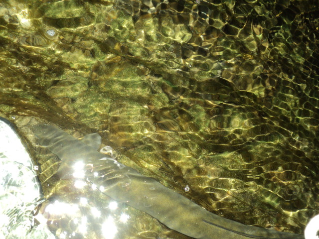 Name:  picture 8274.jpg
Views: 225
Size:  165.1 KB