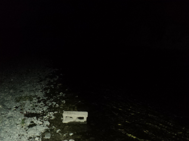 Name:  picture 8303.jpg
Views: 214
Size:  162.5 KB
