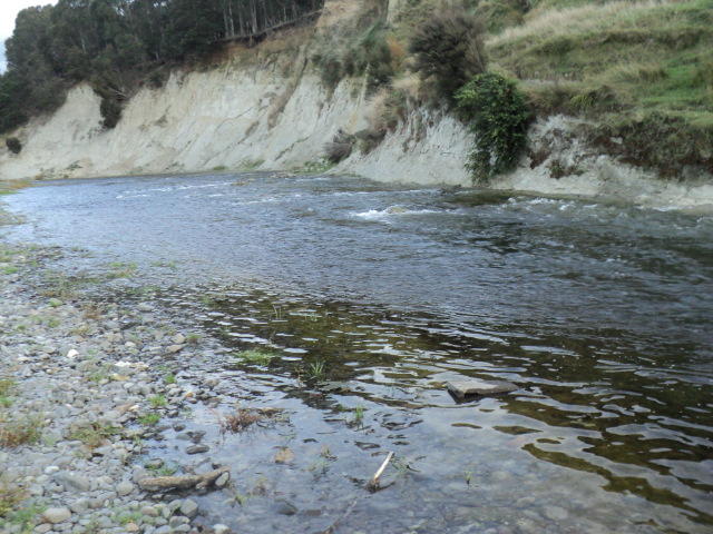 Name:  picture 8324.jpg
Views: 212
Size:  163.2 KB