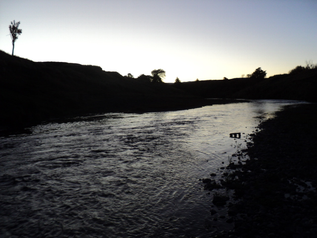 Name:  picture 8332.jpg
Views: 204
Size:  164.8 KB