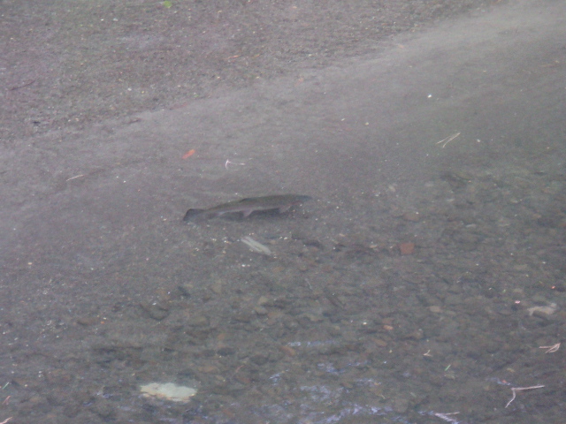 Name:  picture 679.jpg
Views: 228
Size:  162.2 KB