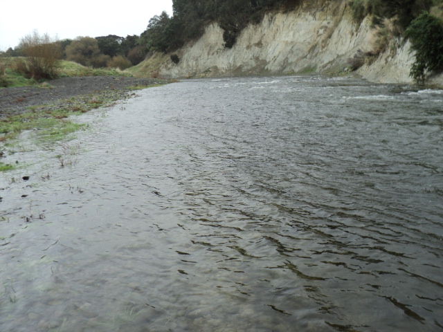 Name:  picture 8587.jpg
Views: 307
Size:  165.3 KB